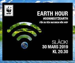 Earth Hour