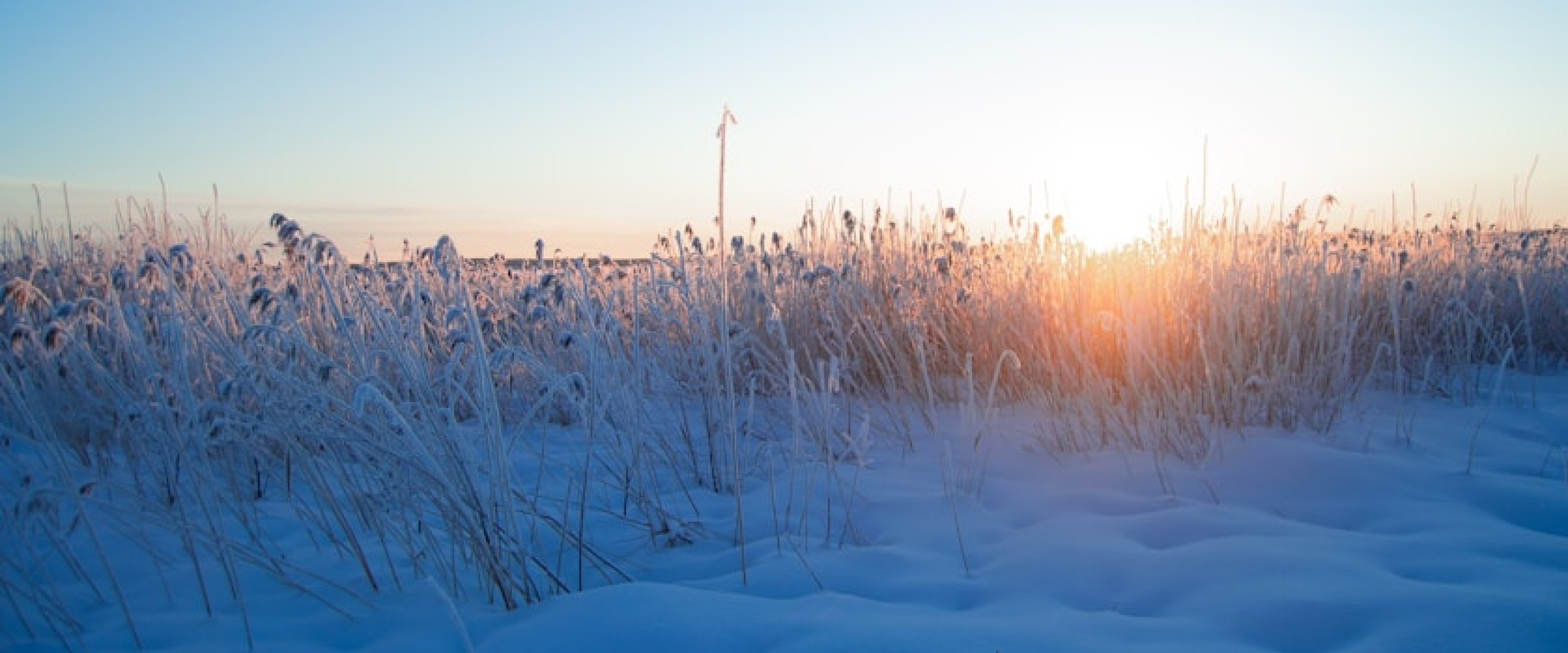 Trygg Vinter