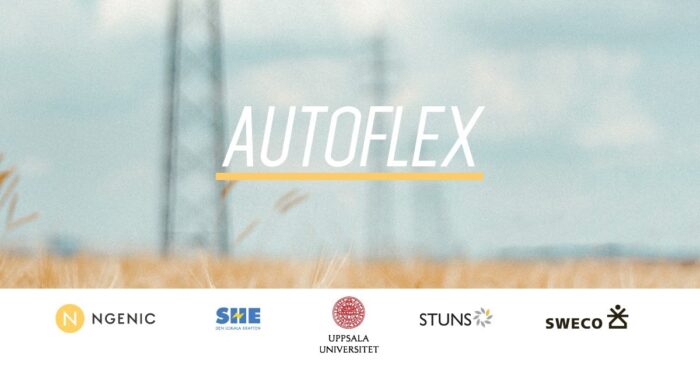 Autoflex 700x366